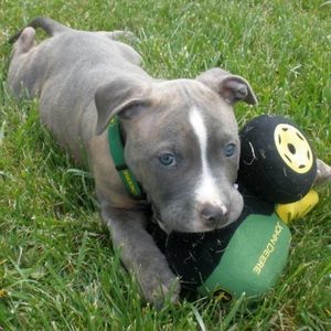 Meet your Posher, Darlene